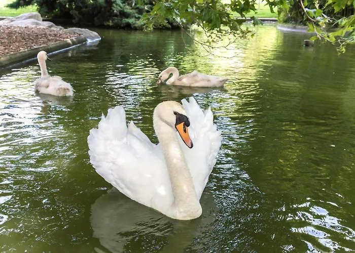 Ibis Budget Angers Parc Des Expositions מלון Verrieres-en-Anjou